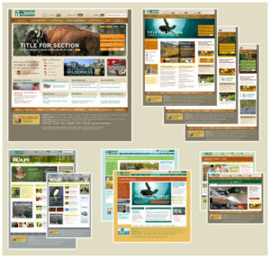 Collage of various websites for The National Wildlife Foundation