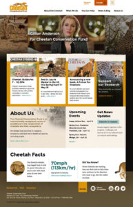 Homepage for the Cheetah Conservation Fund in Africa