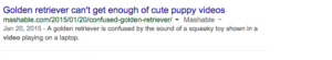 Screenshot of a metadescription from Google "Golden Retriever is confused by the sound of a squeaky toy shown in a video playing on a laptop"