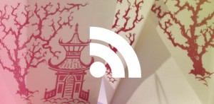 Chinese food containers and RSS icon
