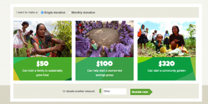 Donation forms with suggested giving amounts helps donors visualize their impact
