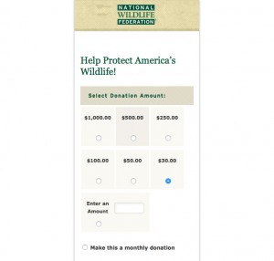 Donation form mobile example