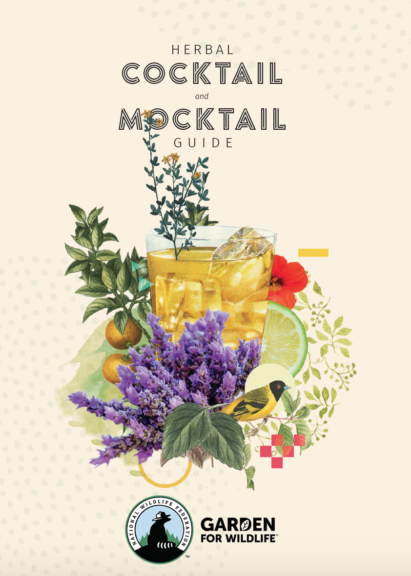 Herbal cocktail cover