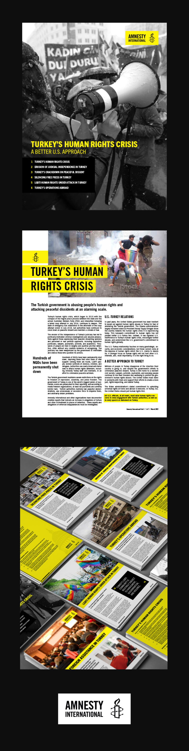 Advocacy briefs for Amnesty International