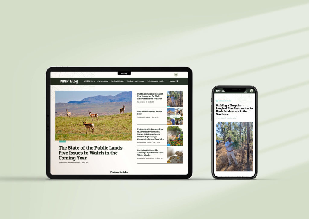 National Wildlife Federation Blog Website Design.