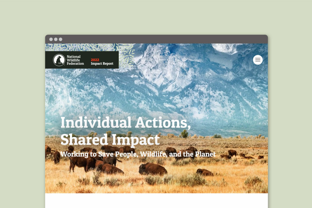 NWF Impact Report 2022 Website Design.