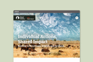 NWF Impact Report 2022 Website Design