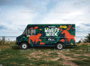 National Wildlife Federation Wildlife Week Truck Design