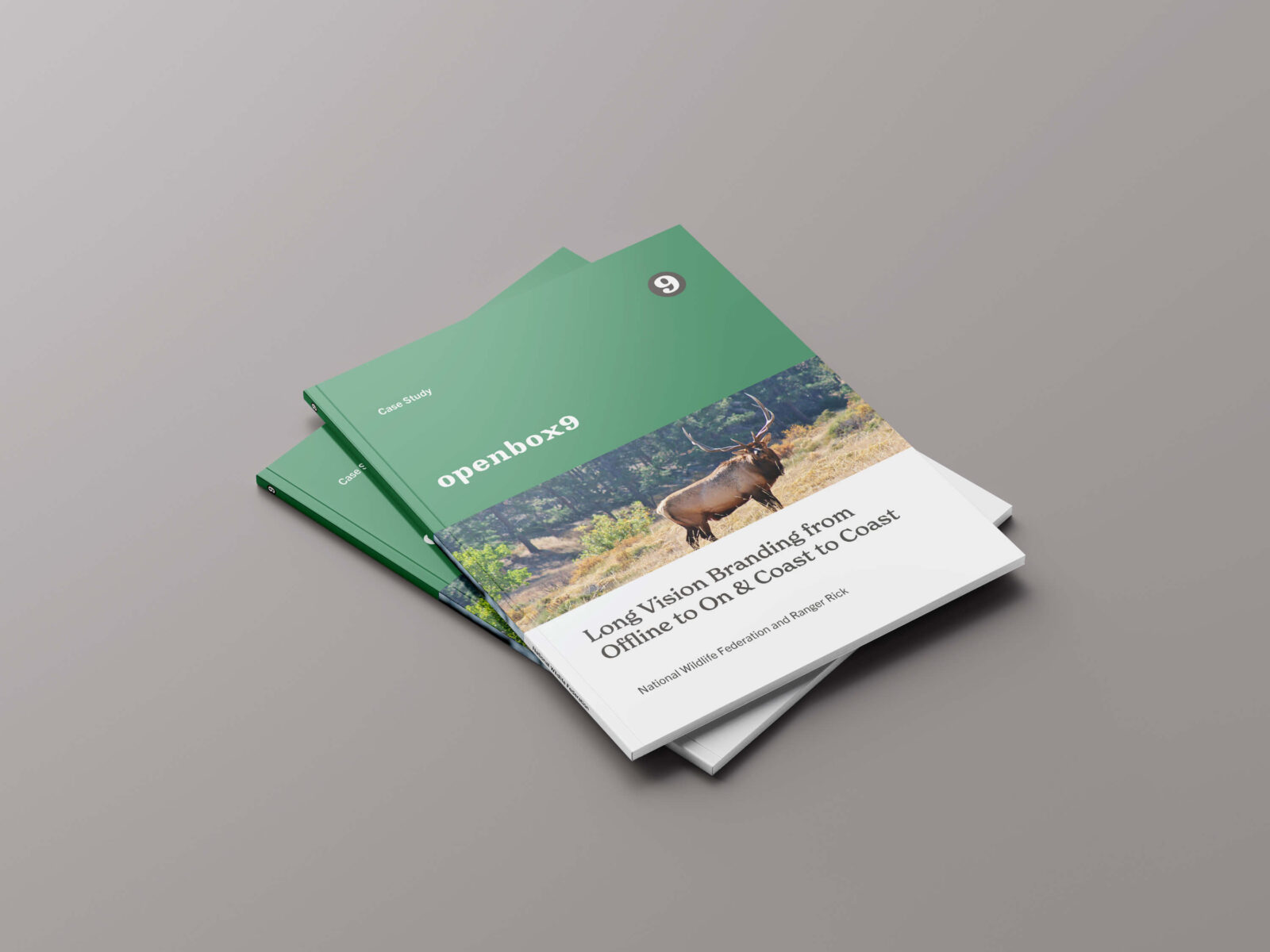 The National Wildlife Federation: Long Vision Branding from Offline to On & Coast to Coast
