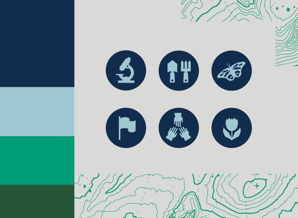 National Wildlife Federation brand graphic elements