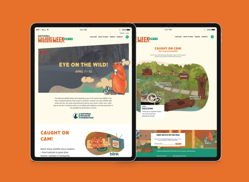 National Wildlife Federation Wildlife Week Design Samples.