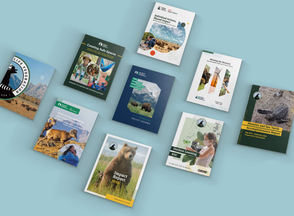 Nonprofit graphic design case study