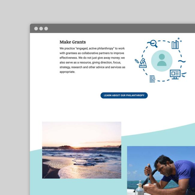 Ocean Foundation website Solutions page screenshot