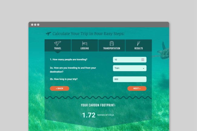 Ocean Foundation SeaGrass Grow carbon calculator