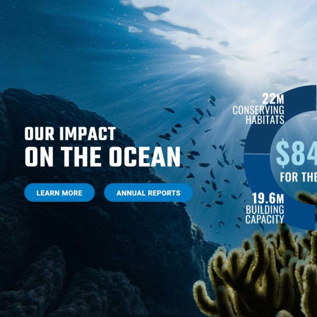 Ocean Foundation impact pie chart