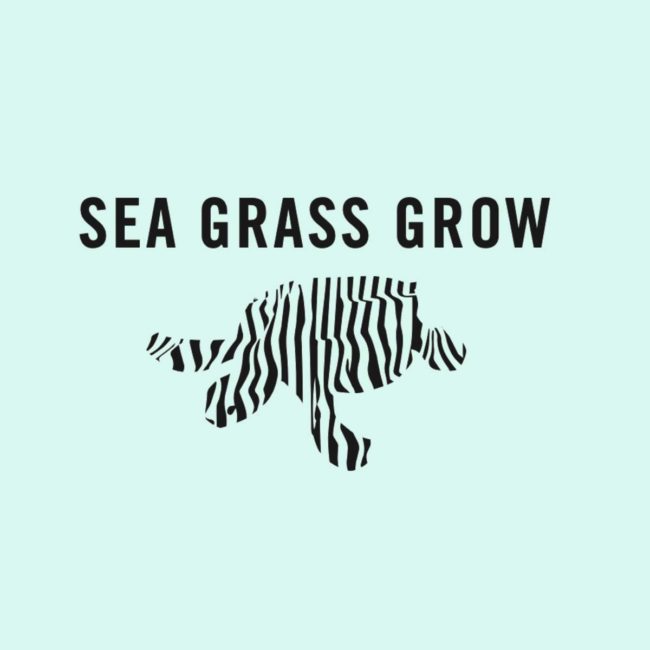 SeaGrass grow logo mockup